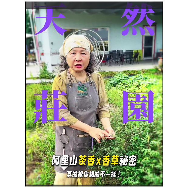 螢幕擷取畫面 2026-06-21 094519.png